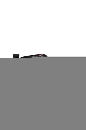 PHOENİX STİCKER MOTORSİKLET STİCKER ÇIKARTMA
