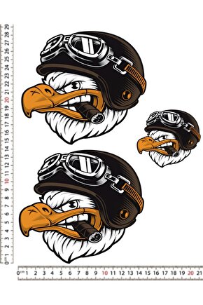 KARTAL MOTORSİKLET KASK LEPTOP ARAÇ DOLAP STİCKER ÇIKARTMA