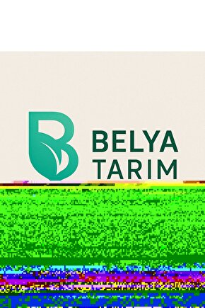 Orijinal Nexcube Yarışması - Zeka Küpü Yarışması - Zeka Küpleri - Akıl Küpü - Lisanslı Küp - Zeka