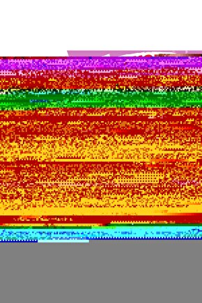 May Vega F1 Tatlı Mısır Tohumu 10000 Adet