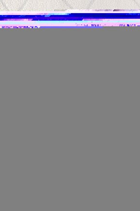 Erkek Çocuk Şort Bnt-b21326