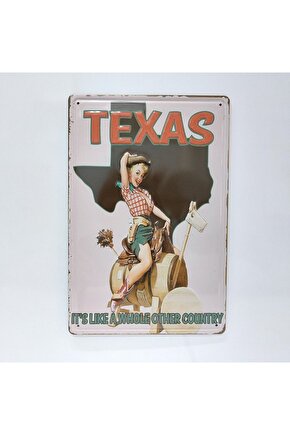 Texas Temalı Retro 20x30 Cm Metal Plaka Duvar Dekor