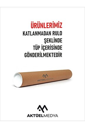 Matisse - Boho - Art Deco - Soyut - Doğa ( 3 lü Çerçevesiz ) Poster - Afiş - Tablo KR2C01286