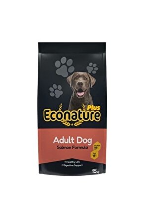 Plus Somonlu Yetişkin Köpek Maması 15 Kg