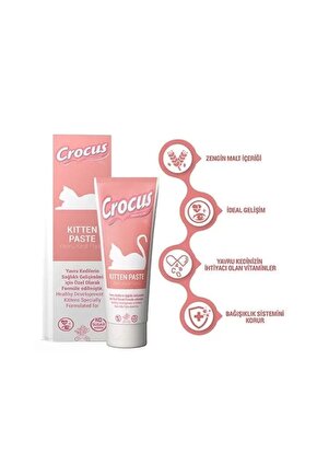 Kitten Kedi Malt Macunu 100 gr