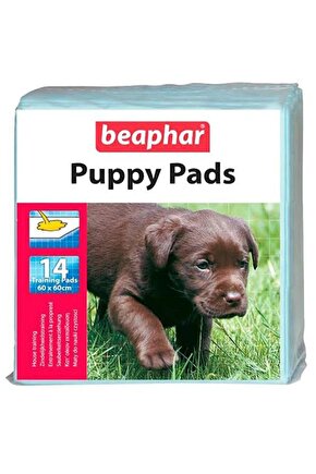 Puppy Pads Yavru Köpek Çiş Pedi 60x60 Cm 14lü - Petshopundan