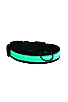 Işıklı Ayarlanabilir Flaşörlü Kedi Ve Köpek Boyun Tasması Yeşil 40-48 Cm  2.5 Cm