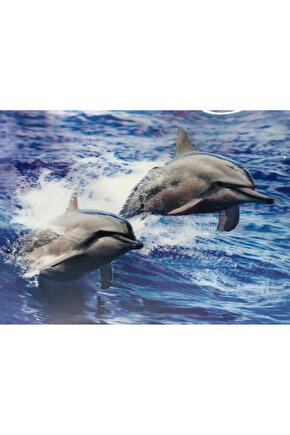 5D Elmas Boyama Sevimli Yunuslar İkili Yunus Resmi Tablosu 30x40 cm (4767)