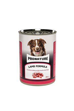 Kuzu Etli Parça Etli Yetişkin Köpek Konservesi 400 gr - Petshopundan