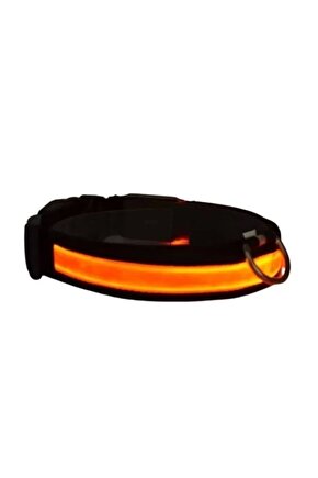 Işıklı Ayarlanabilir Flaşörlü Kedi Ve Köpek Boyun Tasması Kırmızı 35-43 Cm  2.5 Cm