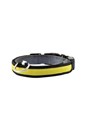Işıklı Ayarlanabilir Flaşörlü Kedi Ve Köpek Boyun Tasması Sarı 45-52 Cm  2.5 Cm