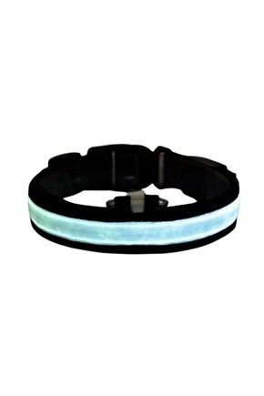 Işıklı Ayarlanabilir Flaşörlü Kedi Ve Köpek Boyun Tasması Mavi 52-60 Cm  2.5 Cm