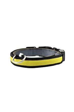 Işıklı Ayarlanabilir Flaşörlü Kedi Ve Köpek Boyun Tasması Sarı 35-43 Cm  2.5 Cm