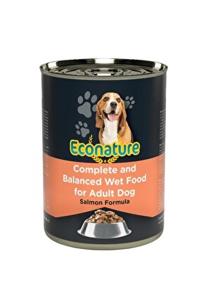 Somonlu Yetişkin Köpek Konservesi 400 gr - Petshopundan