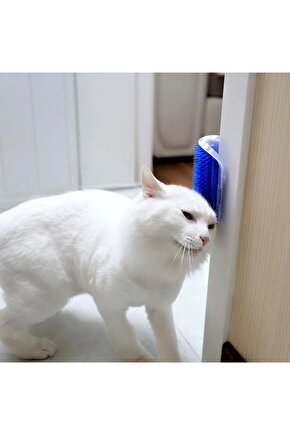 Pratik Kedi Tüyü Kaşıma Ve Tarama Aparatı Duvara Monte Kaşıma Aleti (4767)