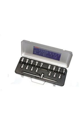 İzeltaş 1113 Lokmalı Allen Uç Ve Star (TORX) Uç Takımı 17 Parça