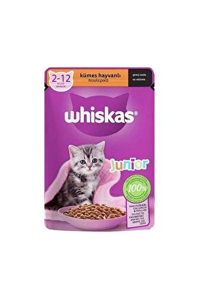 Jöleli Kümes Hayvanlı Yavru Konserve Kedi Maması 85 gr