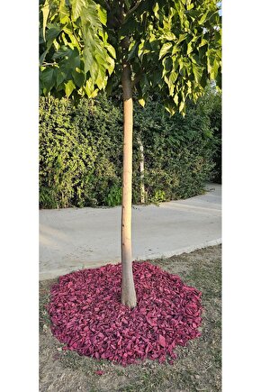 Pembe Renkli Malç 40 Litre 2-5 Cm Renkli Ağaç Kabuğu Renkli Ağaç Yongası Bahçe Dekor Peyzaj Mulch