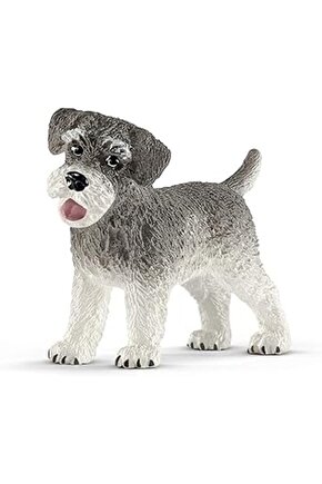 Farm World Minyatür Schnauzer