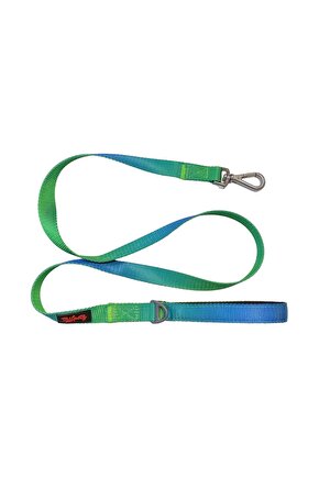 Köpek Boyun Tasması Amazon M