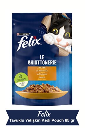 Tavuklu Yetişkin Kedi Pouch