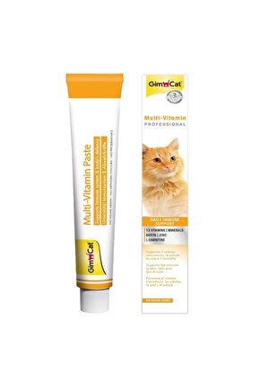 Multi Vitamin Kedi Macunu 100 gr
