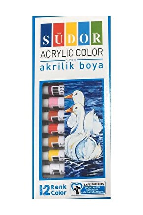 Akrilik Boya Tüp 12x9 ml
