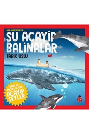 Şu Acayip Balinalar -