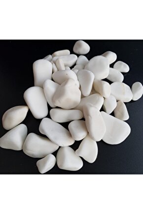 Beyaz Taş 5 Kg 2-4 Cm Beyaz Dolomit Taş Dere Taşı Çakıl Taşı Bahçe Süs Taşı Akvaryum Teraryum Taşı