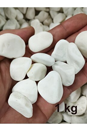 Beyaz Dolomit Taş Mobilya Dekoru 1 Kg 15-25mm Dere Çakıl Taşı Bahçe Süs Taşı Saksı
