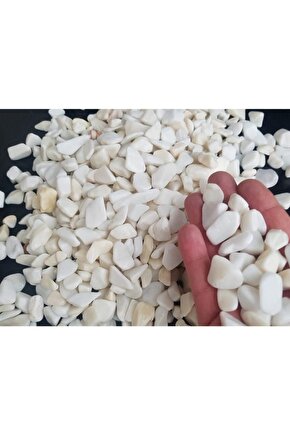Dolomit Taş Beyaz Taş 2 Kg 1-2 Cm Dere Taşı Çakıl Taşı Bahçe Süs Taşı Akvaryum Teraryum Taşı