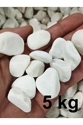 Beyaz Dolomit Taş 5 Kg 1,5-2,5cm Dere Çakıl Taşı Bahçe Süs Taşı Saksı Teraryum Taşı Akvaryum
