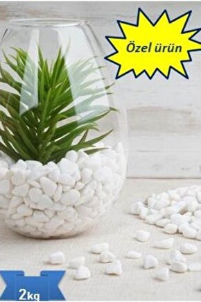 Dolomit Taşı ,akvaryum Taşı,dekoratif Taş Beyaz 0.5-1cm ,2kg