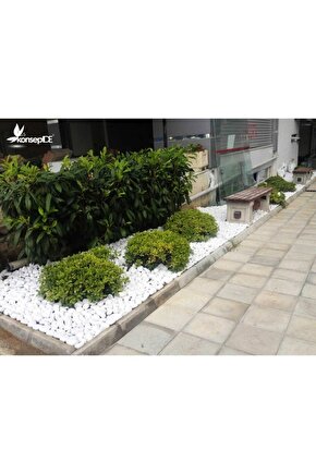 Beyaz Dolomit Taş 20 Kg 2,5-4 Cm Dekoratif Taş Bahçe Süs Taşı