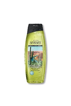 Senses Cactus Ridge Saç Ve Vücut Şampuanı 500 Ml Fiyatı