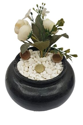1 Kg Beyaz Dolomit Taş 0.5-1 Cm Akvaryum Taşı,çakıl Taşı Bahçe,saksı Taşı,sukulent,terraryum No.1m