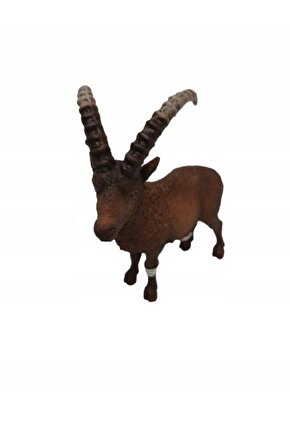 Oğlak 17101