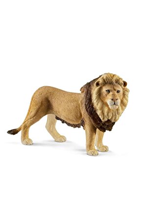 Erkek Aslan 17107