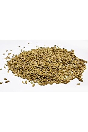 Petdoys Kuşlarınız Için Sade Aspur Yemi - 250 Gram
