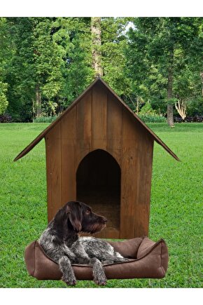Orta Boy Irk Köpekler Için Doğal Ahşap Kulübe Dış Mekan Köpek Evi