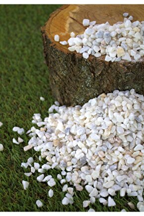 Dolomit Taş 5 Kg 0,5-1 Cm Karışık Renkli Dere Taşı Çakıl Taşı Saksı Taşı Akvaryum Teraryum Taşı