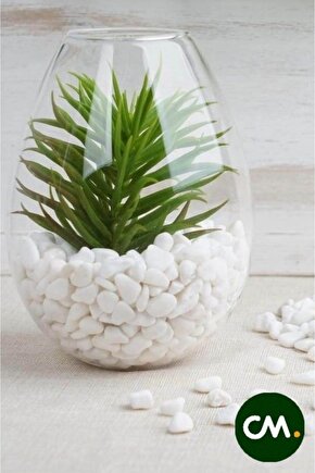Cmdoğal Dolomit Taş 500 Gr 1-2 Cm Dekoratif Vazo Akvaryum Teraryum Taşı Beyaz.