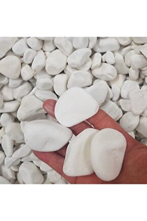 Beyaz Dolomit Taş 5 Kg 2-4 Cm Dere Çakıl Taşı Bahçe Süs Taşı Saksı Teraryum Taşı Akvaryum Taşı