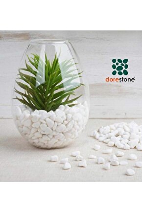 Tamburlanmış Beyaz Dolomit Taşı-10 Kg 10-20 Mm Beyaz Doğal Taş