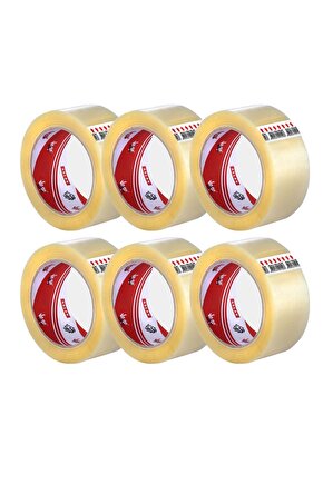 Koli Bantı Aslan 45x100 Şeffaf (6 ADET)