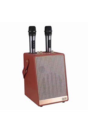 30W KARAOKE ÇİFT MİKROFONLU BLUETOOTH HOPARLÖR ŞARJLI KABLOSUZ SPEAKER