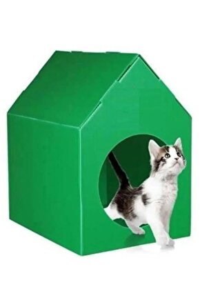 Yeşil Renk Kedi Köpek Evi Plastik Su Geçirmez