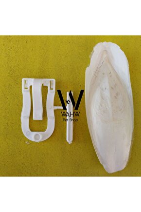 Doğal Büyük Kalamar Kemiği 18cm - 21cm