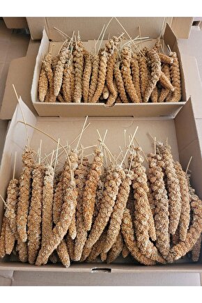Kızıl Dal Darı (YENİ MAHSUL) 500 gr