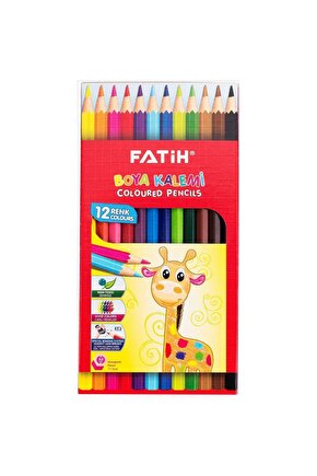 12li Tam Boya Kuru Boya Karton Kutu  33112